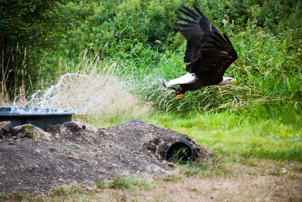 20150815-DSC_3605