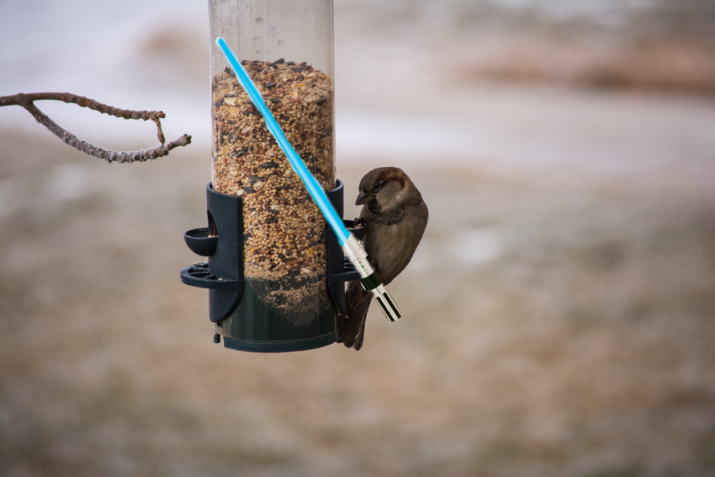 Birds full force-Edit